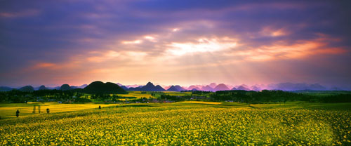 sung-so-truoc-ve-dep-cua-thung-lung-hoa-cai-o-la-binh-4