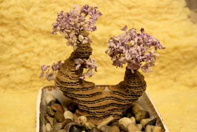 tan-dung-bia-cac-tong-lam-cay-bonsai-doc-dao-5