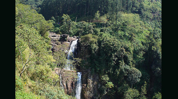 tham-quan-ve-dep-dao-sri-lanka-10