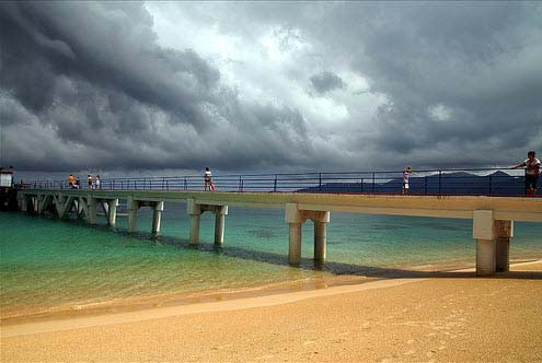 tho-mong-dao-rong-tioman-malaysia-2