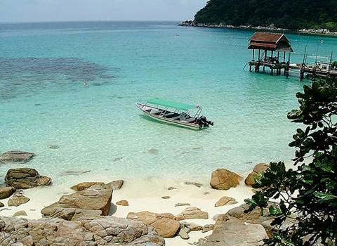 tho-mong-dao-rong-tioman-malaysia-3