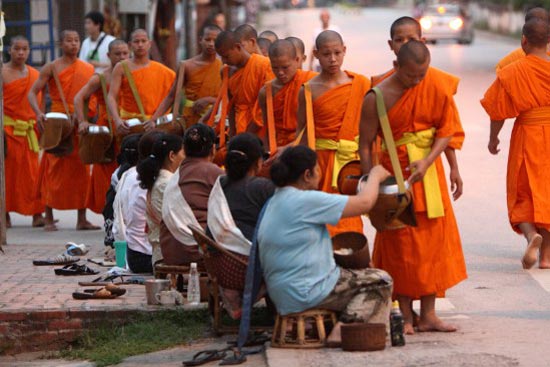 thong-tha-thuong-ngoan-canh-sac-lao-2