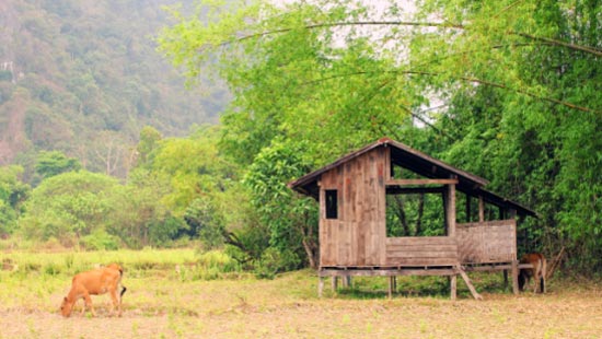 thong-tha-thuong-ngoan-canh-sac-lao-5