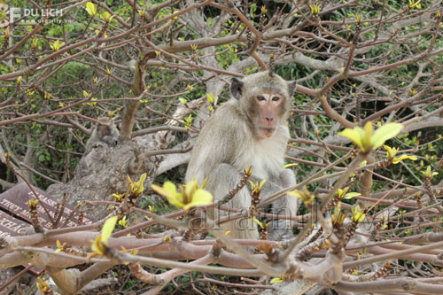 thu-vi-tour-du-lich-uong-bia-voi-khi-o-cat-ba-6