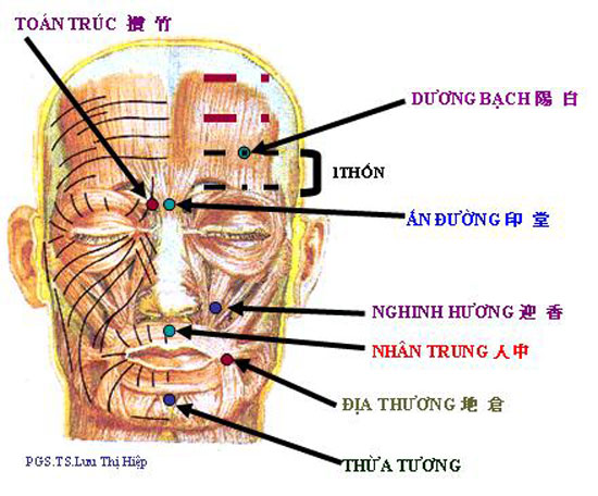 thuc-pham-giup-chong-buon-ngu-noi-cong-so-4