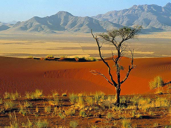 thuong-thuc-nang-gio-o-sa-mac-namibia-2