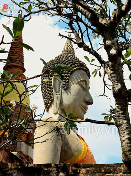 toi-tham-ayutthaya-dat-phat-cua-thay-tro-duong-tang-6