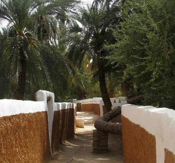 trai-nghiem-cuoc-song-noi-sa-mac-ghadames-13