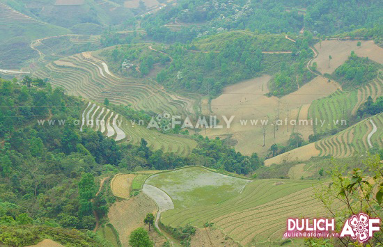 tuyet-dep-cao-nguyen-da-ha-giang-mua-tam-giac-mach-2