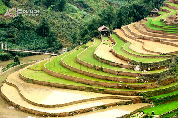 tuyet-dep-ruong-bac-thang-xu-mu-cang-chai-mua-do-nuoc-8