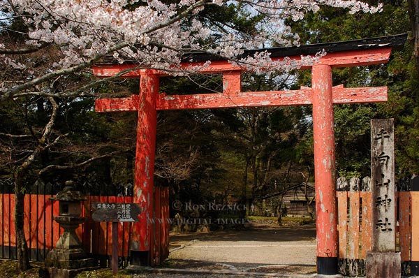 van-hoa-nhat-qua-canh-cong-thien-torii-2