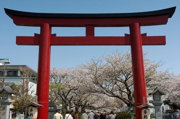 van-hoa-nhat-qua-canh-cong-thien-torii-6