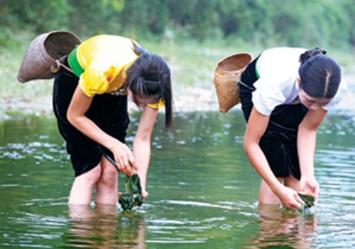 ve-dat-to-thuong-thuc-mon-ngon-15