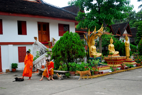 ve-dep-binh-yen-cua-co-do-luang-prabang-14