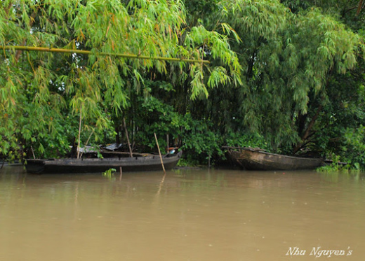 ve-hau-giang-tham-run-ca-lung-ngoc-hoang-10