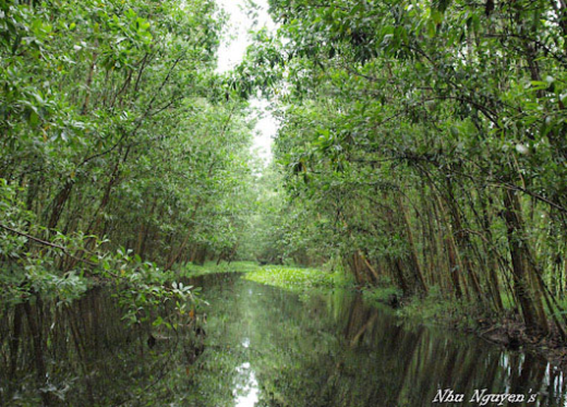 ve-hau-giang-tham-run-ca-lung-ngoc-hoang-1