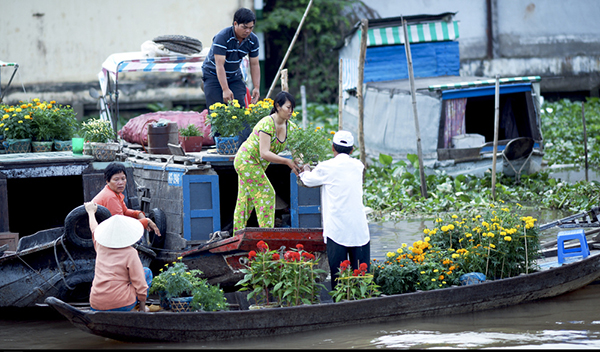 ve-mien-tay-ngam-cho-noi-ngay-tet-3