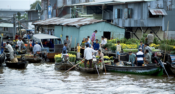 ve-mien-tay-ngam-cho-noi-ngay-tet-4