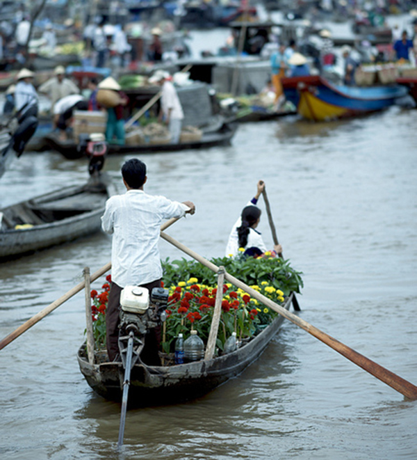 ve-mien-tay-ngam-cho-noi-ngay-tet-5