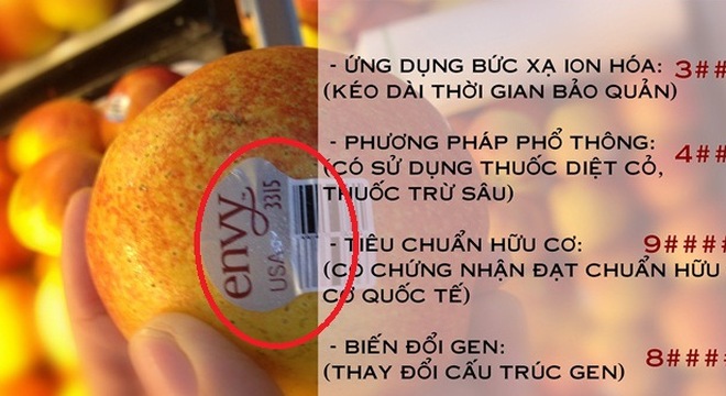 Giúp bạn Đừng phí tiền mua hoa quả trong siêu thị khi chưa biết ý nghĩa những tem dán này!