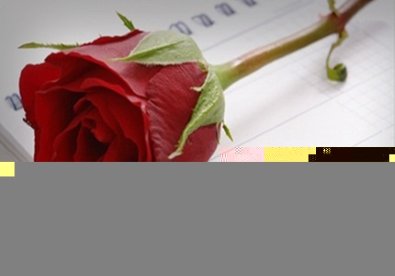 Giúp bạn 5 món quà Valentine con gái không thích