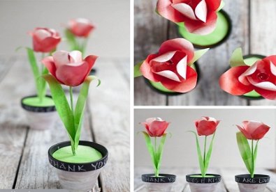 Giúp bạn Cách làm hoa tulip ấn tượng theo cách riêng của bạn