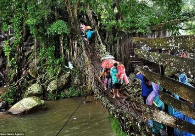 Giúp bạn Cây cầu 'sống' ở sông thiêng Indonesia