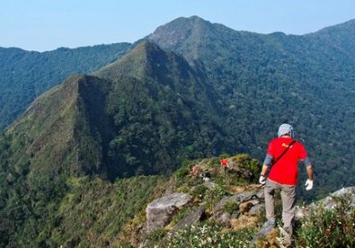 Giúp bạn Chinh phục 'sống lưng khủng long' trên đỉnh Tà Xùa