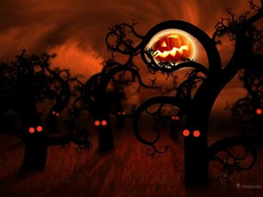 Giúp bạn Điểm chơi Hallowen cho giới trẻ Sài Thành