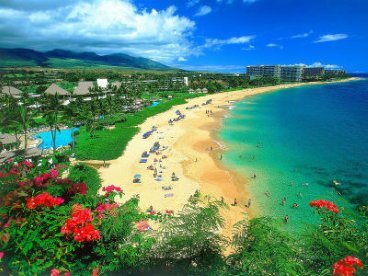 Giúp bạn Đừng đến Hawaii một mình