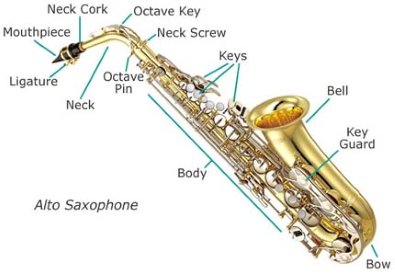 Giúp bạn Giới thiệu về kèn Saxophone