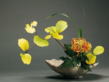 Giúp bạn Hướng dẫn nghệ thuật cắm hoa Ikebana của Nhật Bản