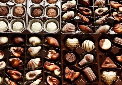 Giúp bạn Khám phá thế giới cùng tín đồ Chocolate