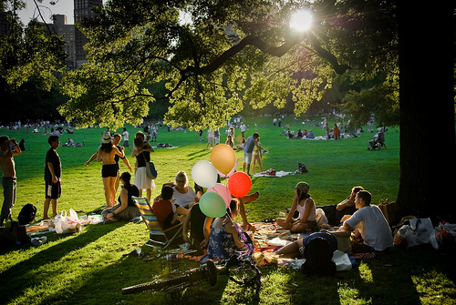 Giúp bạn Làm sao để lập kế hoạch đi picnic cuối năm hoàn hảo?