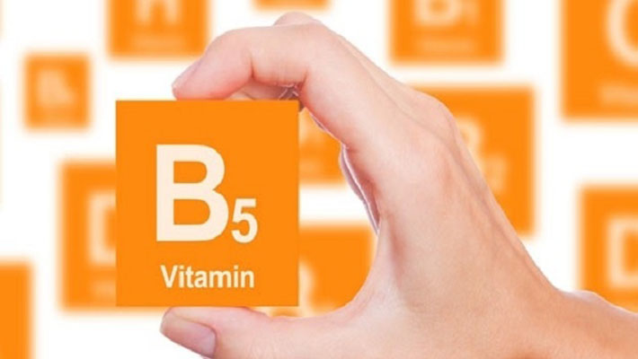 Giúp bạn Công dụng của Vitamin B5