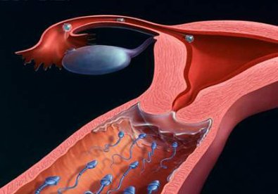 Giúp bạn Những điều cần biết về ung thư buồng trứng