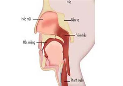 Giúp bạn Những điều cần biết về ung thư vòm mũi họng