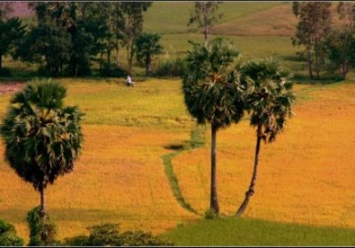 Giúp bạn Say lòng vẻ đẹp bình dị xứ An Giang