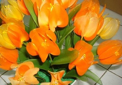 Giúp bạn Tự tay làm hoa tulip trang trí ngày Tết