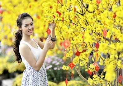 Giúp bạn Vài kinh nghiệm nhỏ cho chuyến du xuân