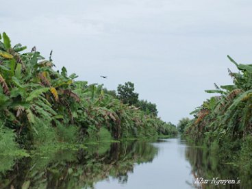 Giúp bạn Về Hậu Giang thăm 'rún cá' Lung Ngọc Hoàng