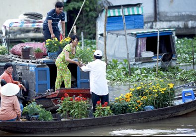 Giúp bạn Về miền Tây ngắm chợ nổi ngày Tết