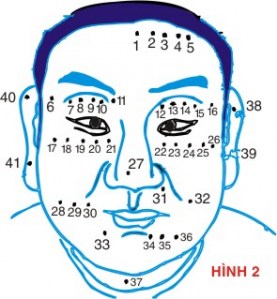 Giúp bạn Ý nghĩa của mụn ruồi?