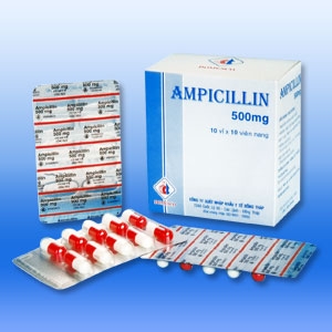 Giúp bạn Bà bầu có được dùng thuốc Ampicillin không?