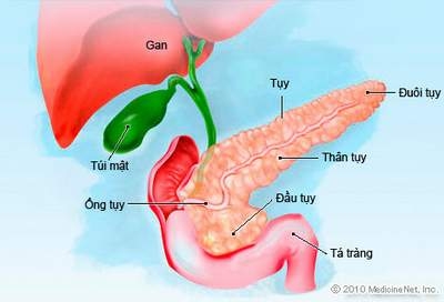 Giúp bạn Bệnh polyp túi mật