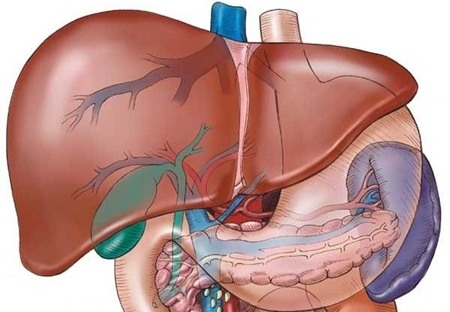 Giúp bạn Bệnh viêm gan siêu vi B