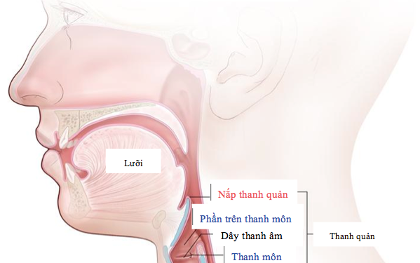 Giúp bạn Các biện pháp điều trị ung thư thanh quản