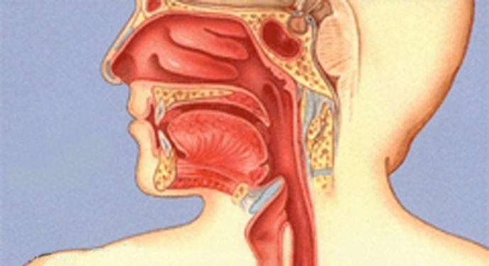 Giúp bạn Giãn tĩnh mạch thực quản