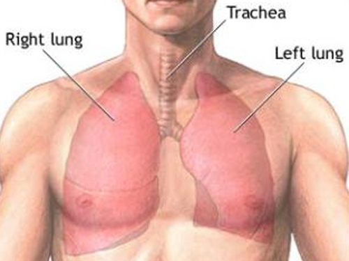 Giúp bạn Khi nào thực hiện phẫu thuật cắt bỏ phổi?