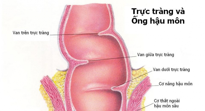 Giúp bạn Ung thư ống hậu môn